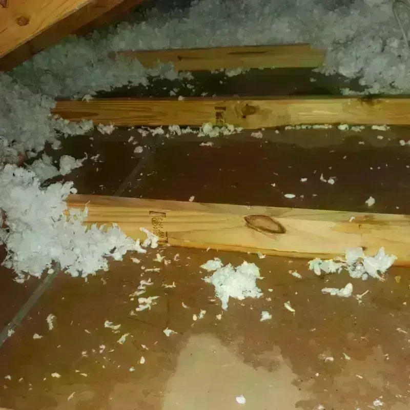 Attic Water Damage in Orono, MN